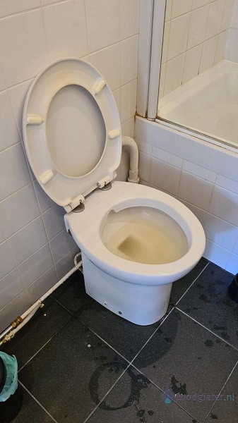  verstopping toilet Loosdrecht
